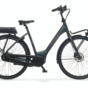 Cortina E-Common Active Plus DB7 2024