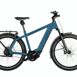 Riese & Müller Charger4 GT Vario - Kiox 300 - 750 Wh