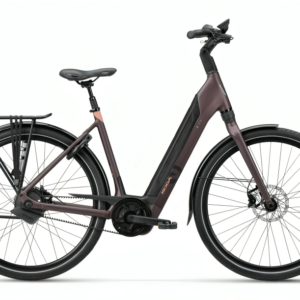 Koga Evia Pro Automatic 2024