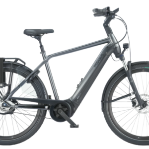 Pegasus Ravenna Evo 5F Belt 2024