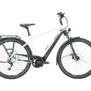 Pegasus Premio EVO 10 Lite 2024