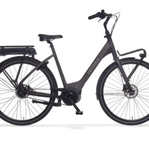 Cortina E-Common Active Plus DB7 Belt 2025