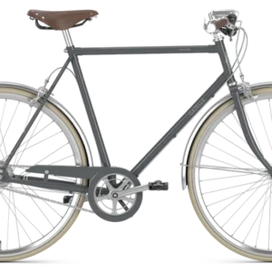 Gazelle Van Stael 2024