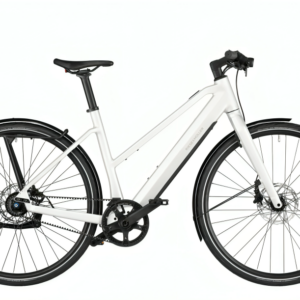 Riese & Müller UBN Seven Silent