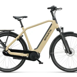 Sparta d-Rule Fit 2025