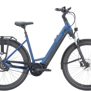 Pegasus Ravenna EVO NV Belt 2024