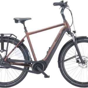 Pegasus Ravenna Evo 7F Disc 2024